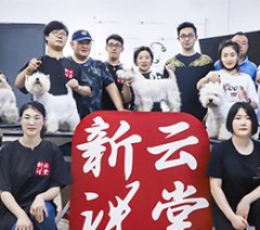 上海新云宠物美容培训学校轮播4