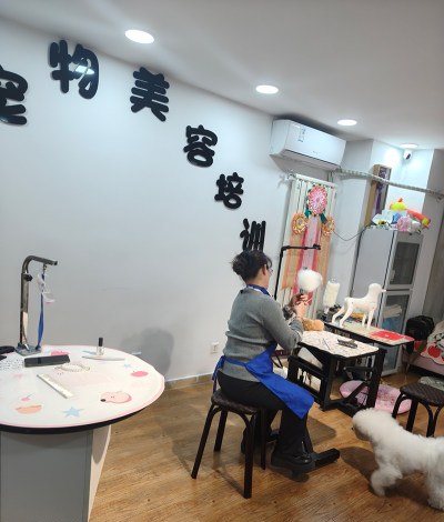 郑州乐辰宠物美容培训学校轮播4