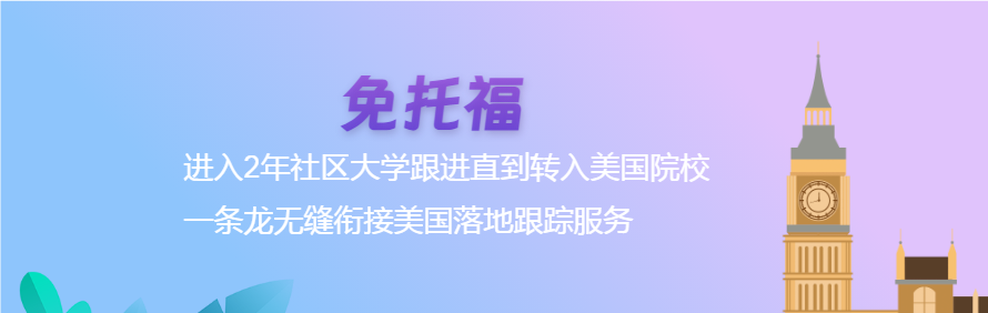 广东显兴教育