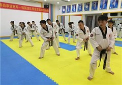 广东震威武道教育集团环境