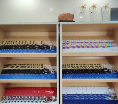 广州羽帆留学相册4