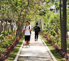 珠海市欧亚技工学校相册4