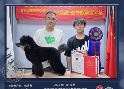 泉州术匠职业宠物培训学校轮播4
