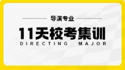 导演专业11天校考集训班