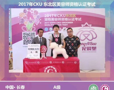 沈阳曼特滔博宠物培训学校轮播3