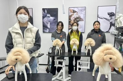 济南派多格宠物美容培训学校轮播3