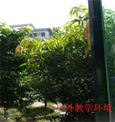 深梦蓝瑜伽