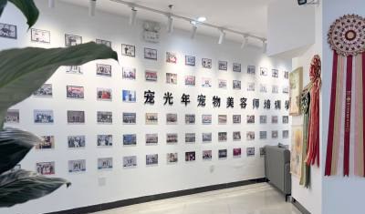 宠光年宠物美容师职业培训学校轮播5