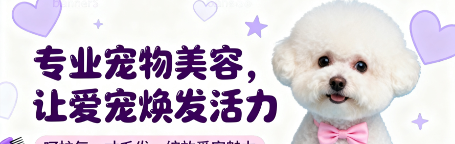 沈阳星屿宠物美容培训学校轮播1