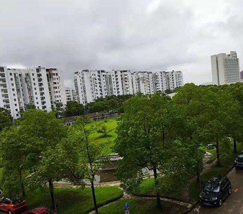 上海蜂测软件培训学校轮播5
