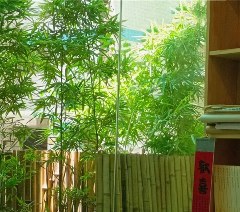广州铭希文化教育相册4