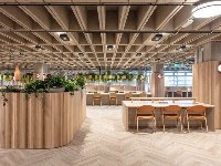 优洋国际教育学习资讯6