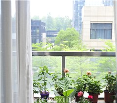 广州若城花事花艺培训中心轮播5