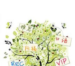 北京剑桥国际英语教育相册2
