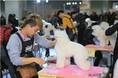 福州东璇宠物美容学校轮播3