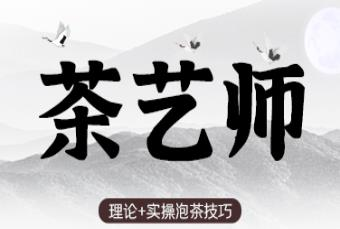 深圳福田初级茶艺师兴趣班