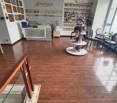 雅高职业技术学校相册4