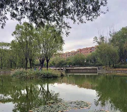 北京大华教育相册1