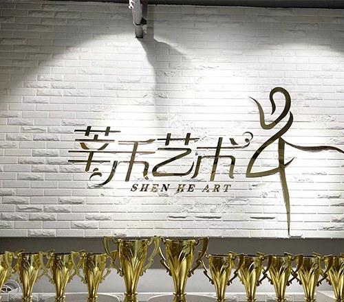 郑州莘禾文化艺术教育相册2