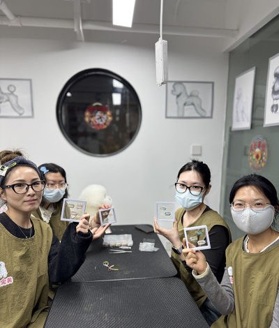上海辛宝宠物美容培训学校轮播5