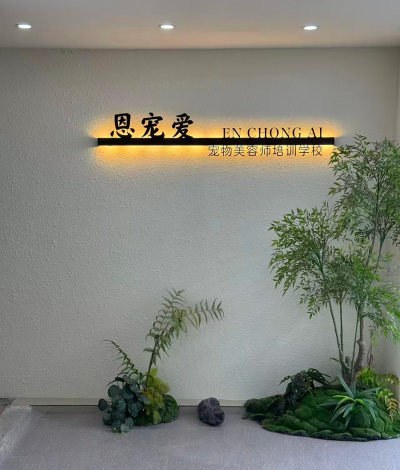 郑州深爱宠物美容培训学校轮播4