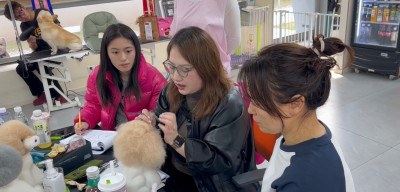 上海匠心宠物美容培训学校轮播5