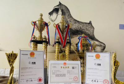 山东乐秀宠物技术培训学校轮播3