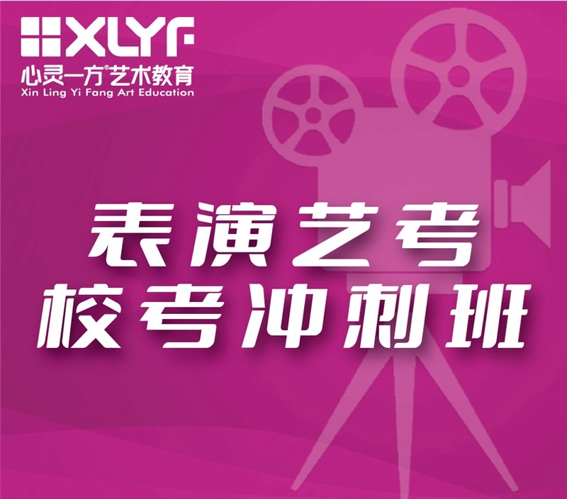 重庆表演艺考校考冲刺班