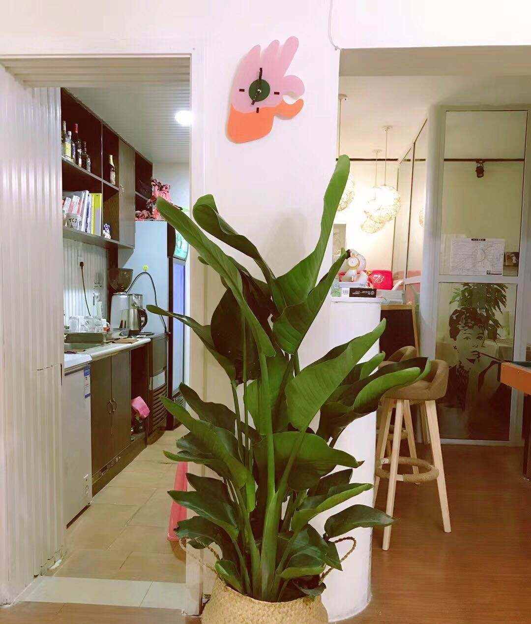 成都丁满HangOut英语工作室轮播3