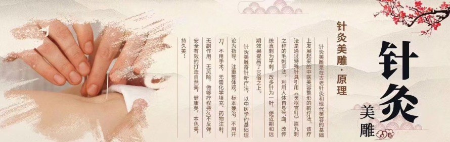 郑州天健针灸美雕培训中心轮播1