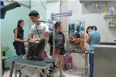 福州东璇宠物美容学校轮播2