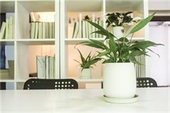 ECLUB英语学习工作室