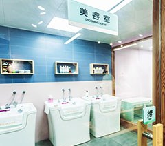 合肥温拿宠物美容学校轮播5