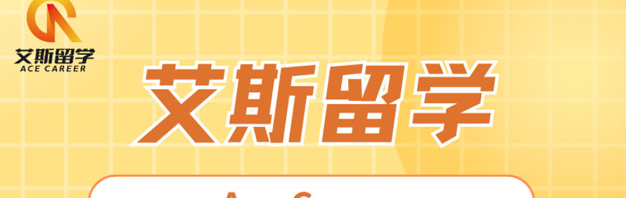 艾斯留学
