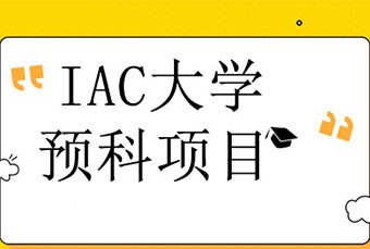 广州一年大学预科项目培训课程