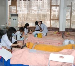 广州百莲达学院