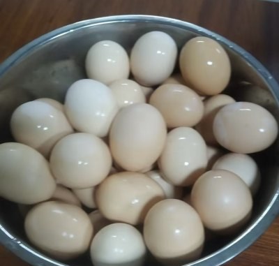 烛光教育相册4