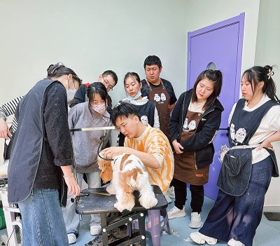 西安IU宠艺宠美培训学校轮播5