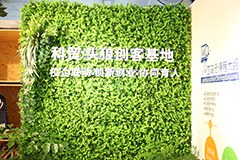 头狼电商培训学院相册3