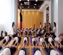 深圳哈他瑜伽培训中心轮播2