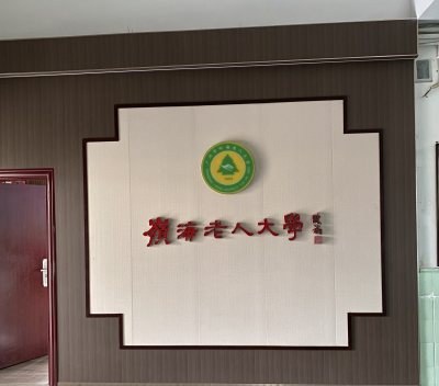 岭海国际管理咨询轮播5