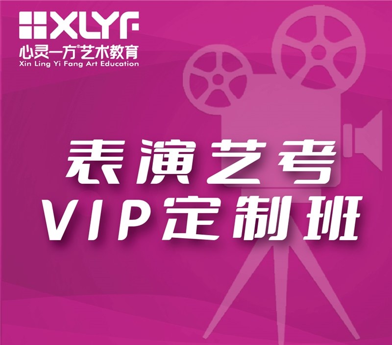 重庆表演艺考培训VIP定制班
