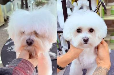 昆明庆炜宠艺美学院轮播4