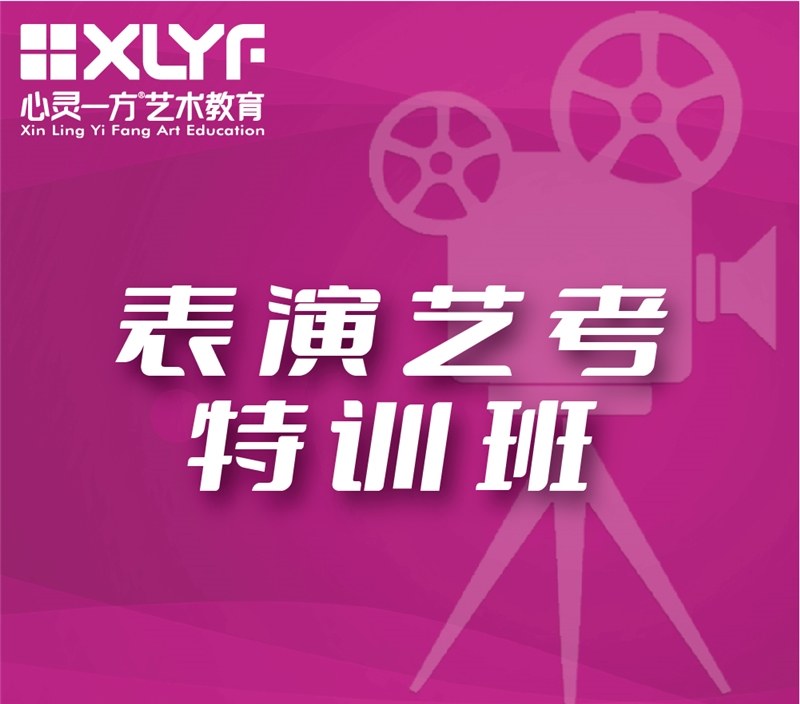 重庆表演艺考特训班