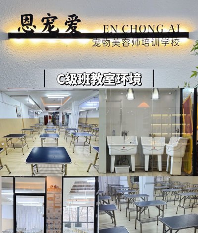 郑州深爱宠物美容培训学校轮播5